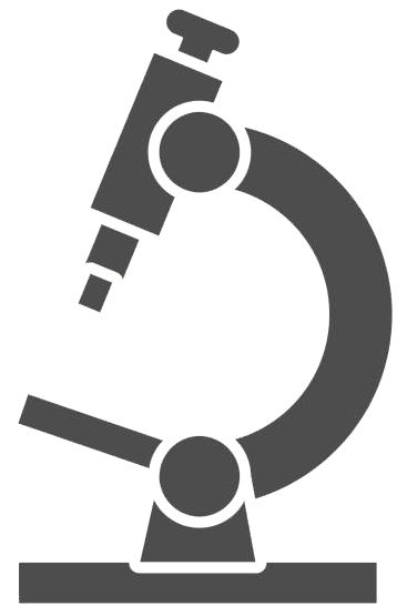 Sciences Infirmières